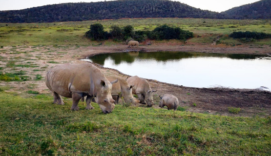 Thandi and family