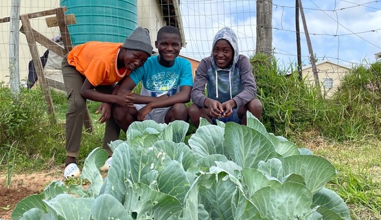 Youth development permaculture gardening