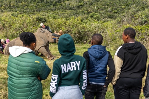 Youth attend a rhino procedure_1728995958352