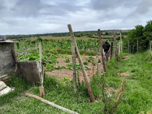 Fencing a garden_1729151417284