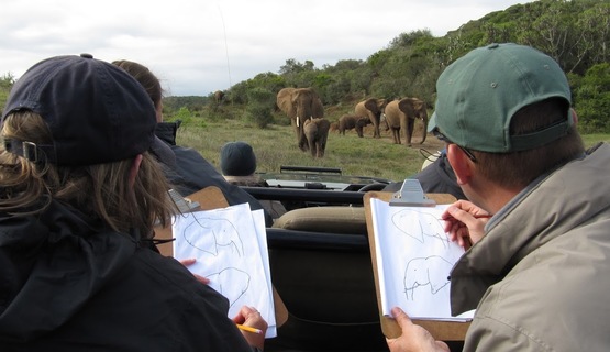 Elephant monitoring_1729159348888