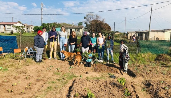 community gardening_1729159348886