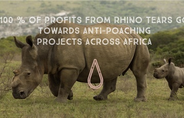 Rhino Tears Thandi Kariega