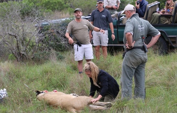 Conservation Team At Work