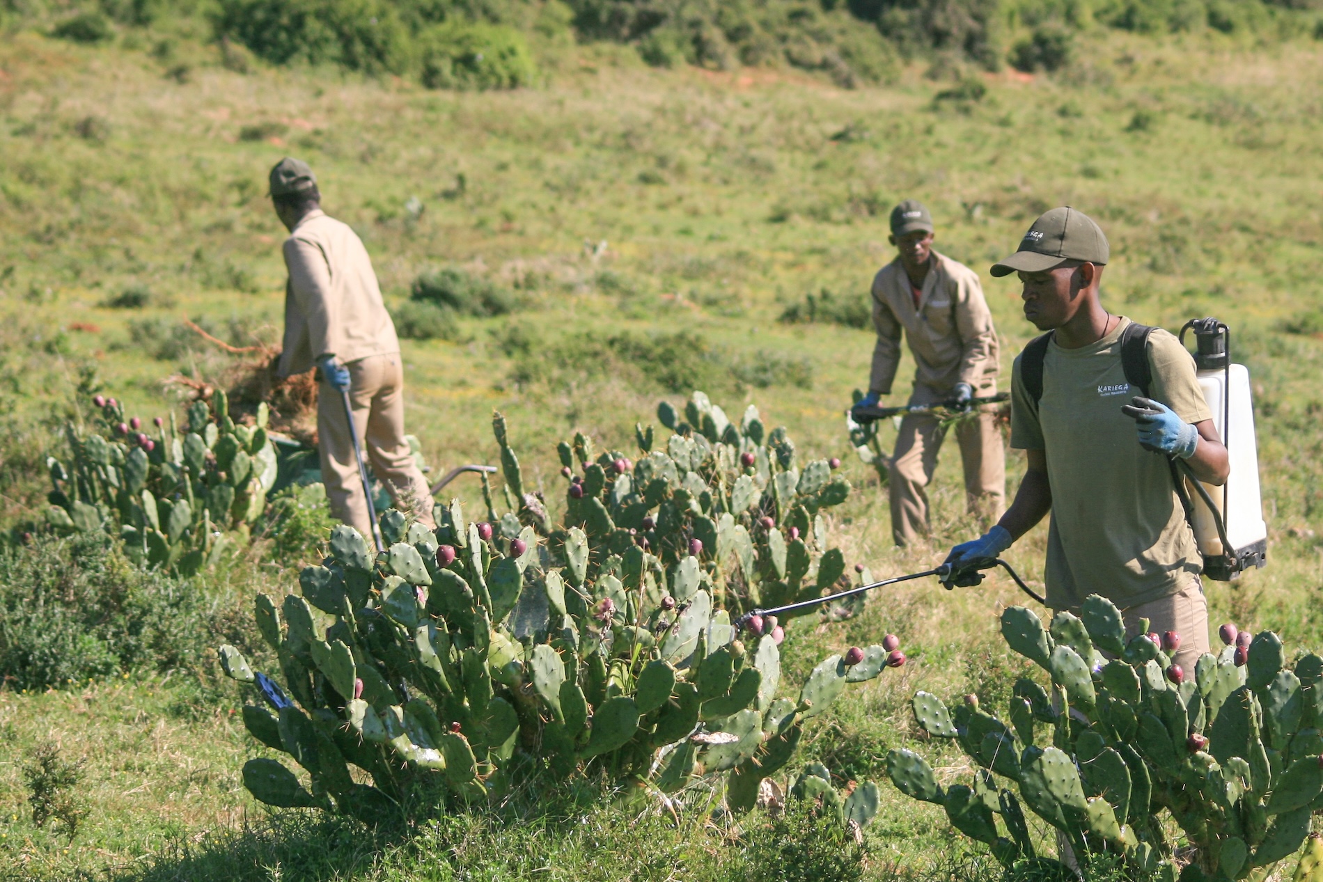 Kariega Foundation Alien Plant Control