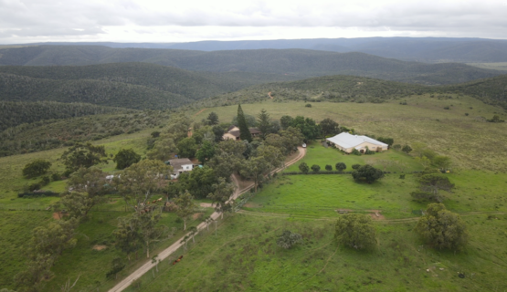 Kariega Volunteer Accommodation Aerial View_1730182029197