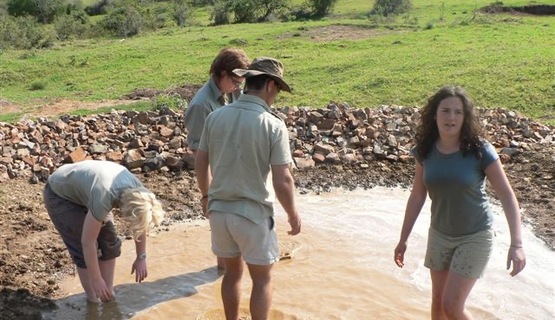 Kariega Volunteers building a waterhole_1730184120339