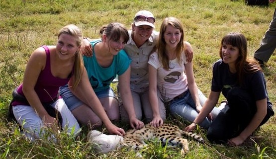 Volunteers asssit at cheetah procedure_1730184120345