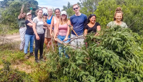 Kariega Volunteers Alien Plant Removal_1730184120340