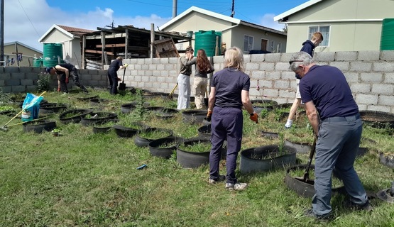 Preparing community garden for planting_1730187030186