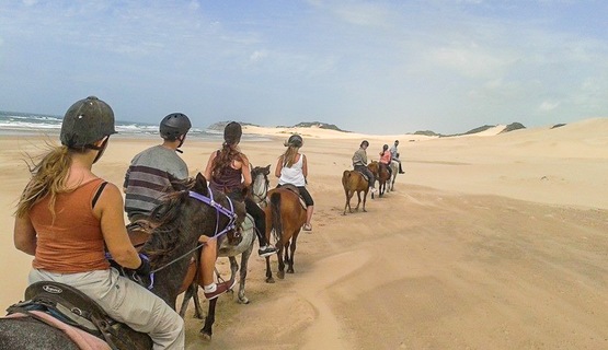 Horse riding on the beach_1730188031892