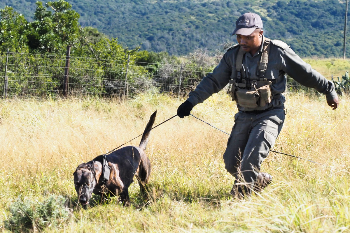 K9 Anti Poaching Demonstration