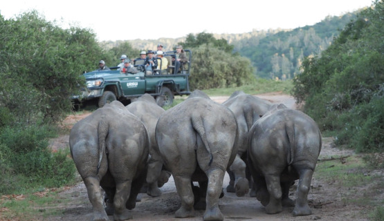 Phil Enjoying The Ride On Kariega Game Reserve